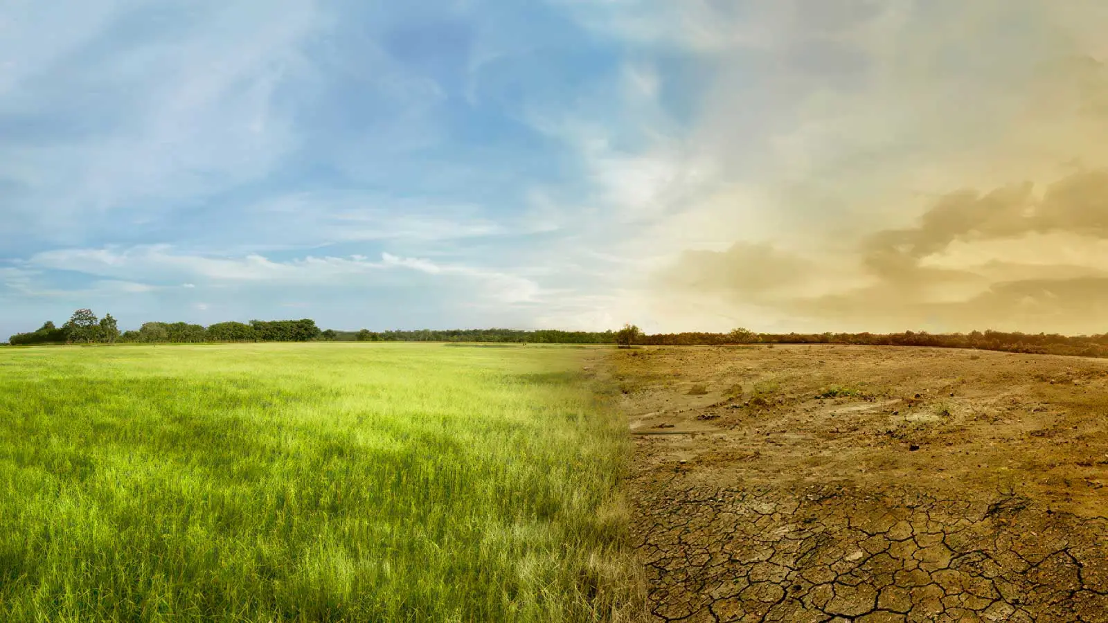 Environmental issues take center stage at the Travel Conference!